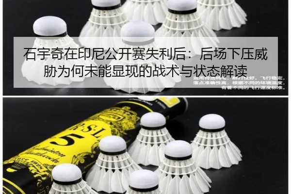 shi-yu-qi-zai-yin-ni-gong-kai-sai-shi-li-hou-hou-chang-xia-ya-wei-xie-wei-he-wei-neng-xian-xian-de-zhan-shu-yu-zhuang-2-494.jpg